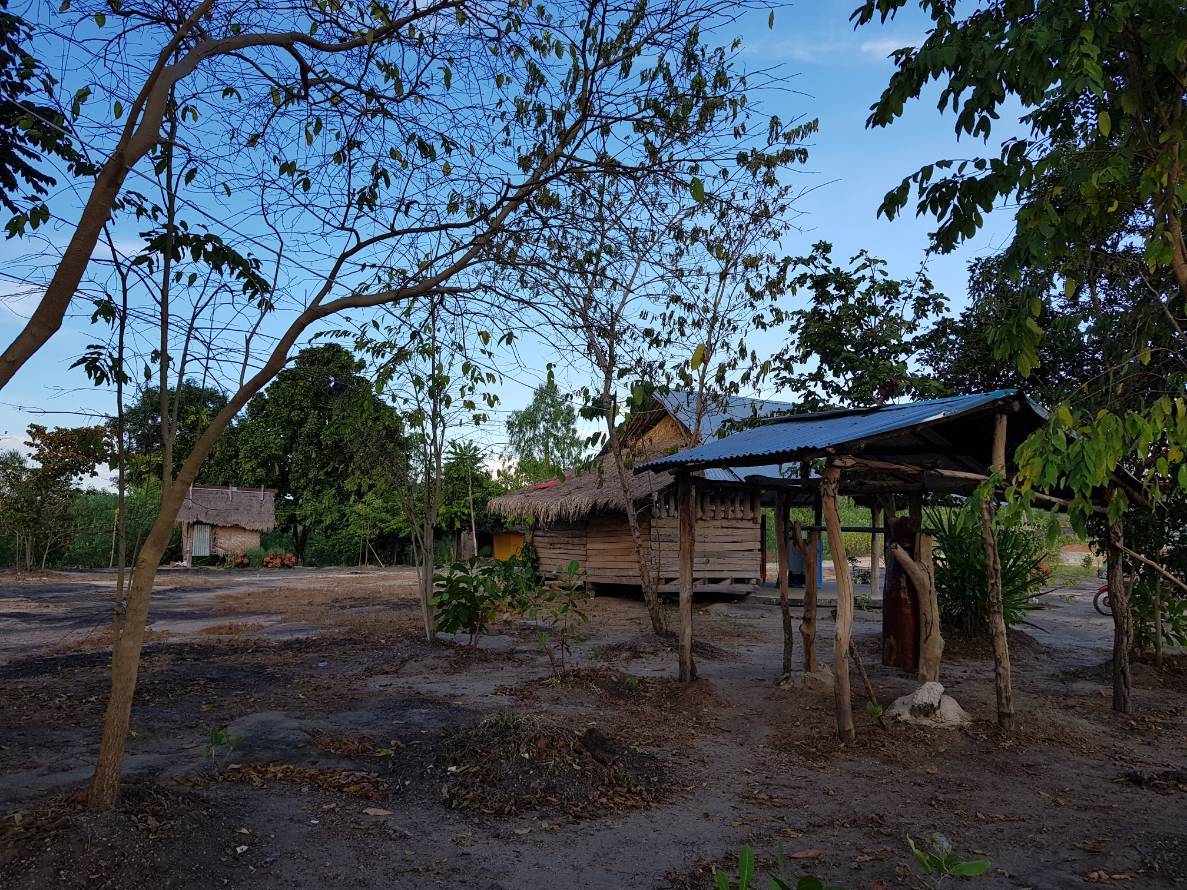 บรรยากาศยามเย็นของพุทธิลาวัณย์